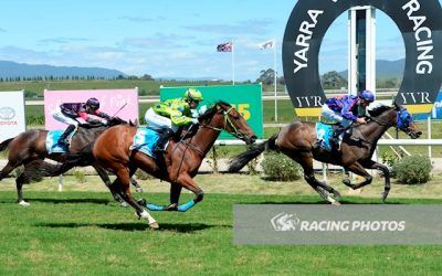 Mount Madeira salutes at Yarra Valley