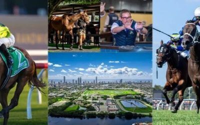 Magic Millions Broodmare Sale…  ﻿Record prices for stakes winning mares!