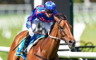 Highs and Lows – Globe out of the Cox Plate