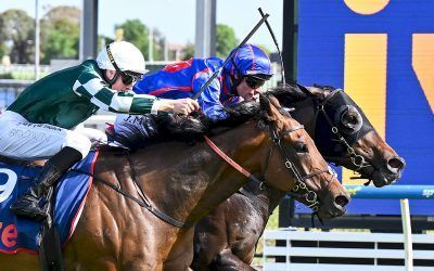 Kagemusha and Barbaric Lad make it two winners for the week for RTD!