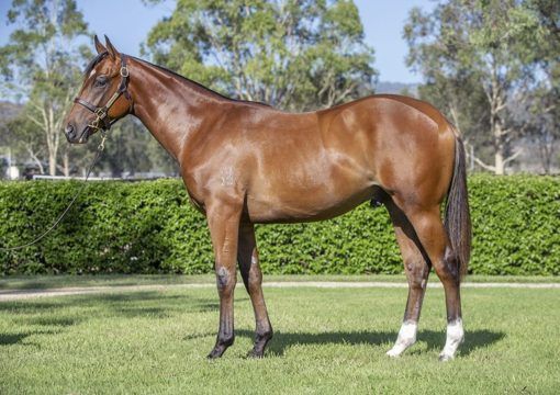 Home Affairs - Inner Demons Colt