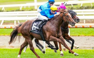 Rich Enuff Filly Claymore Mine Makes Exciting Debut