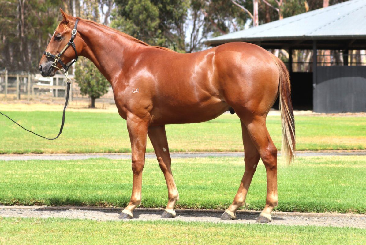 Un-named (Hanseatic – Super Snob)