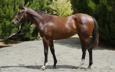 Racing update – April 2026