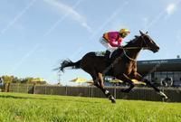 Ballina Double