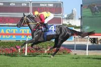 Forelock wins again!