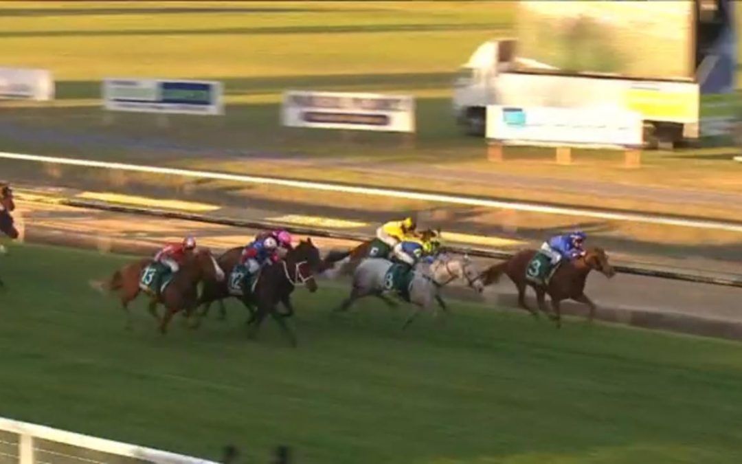 Makfi Lass Lands The Final Event On The Wodonga Card Widdison Racing