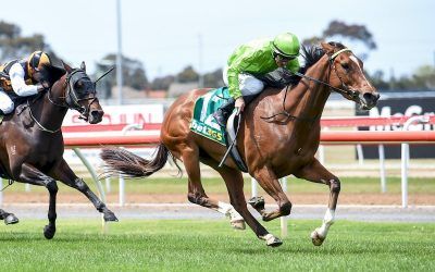 Truly Earns A Start In Melbourne Cup Country Final