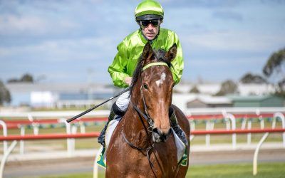 Luckless Filly In Guineas Bid