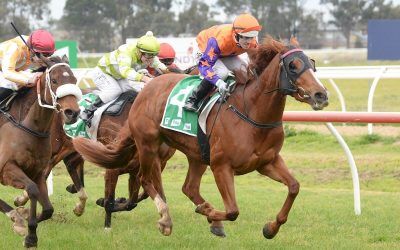 Another Win For Royal Bower