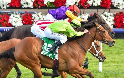 Matriach Stakes Win To Remember