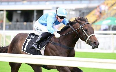 Tough draw for Jemeldi in Dalrello Stakes