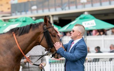 New training partnership debuts at Doomben