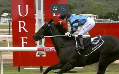 New stable addition goes back-to-back