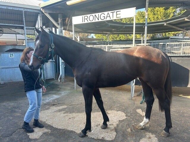 Portarlington