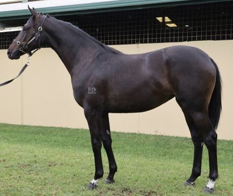 Russian Camelot - Rules Don't Apply