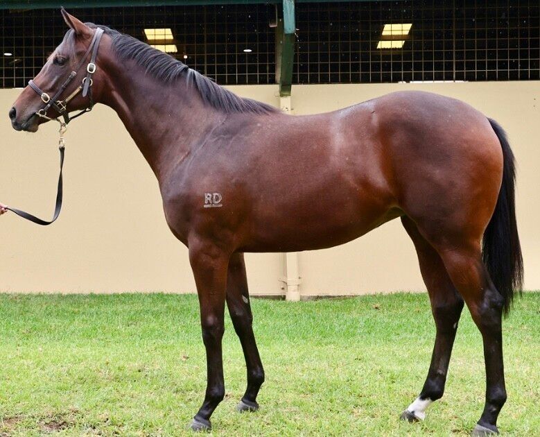 Daumier – Luxury Suite