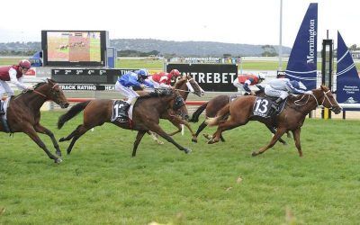 Speedy Graphito wins his maiden