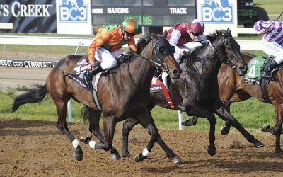 Novaspirit charges home on Geelong Synthetic track again