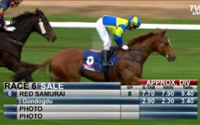 Stable Cashes in at Sale