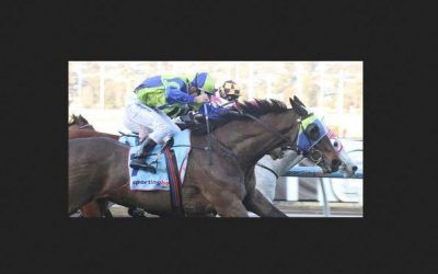 A Flying finish lands the Mildura Cup