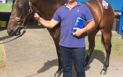 Shea brings home a stunning group of yearling from Inglis Sales