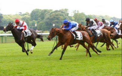 King Way ready to run at Ballarat