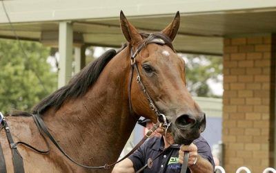 Smokin Al gets it done at Sale