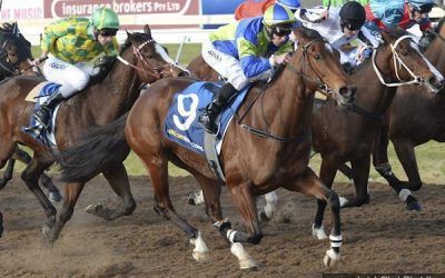 Royal lands at huge odds at Geelong