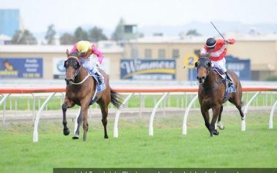 Heart Stealer winning at the Gold Coast