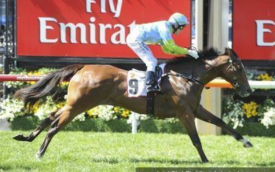 Speed on Speed produces Group 3 success on debut for Oakleigh Girl