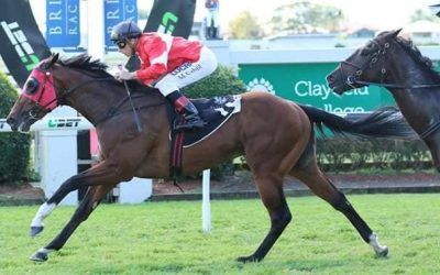 Saturday Doomben Win for Mittere