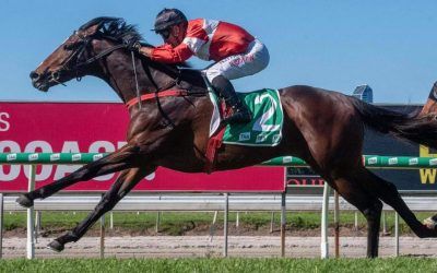 AZZAREACH WINS ON DEBUT