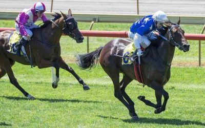 Makaties Keeper Delights Connections on Pinjarra Cup Day
