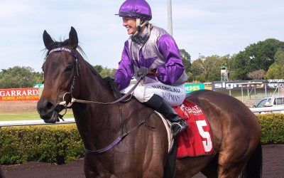 Wiseman stars with Darwin treble on Melbourne Cup Day.