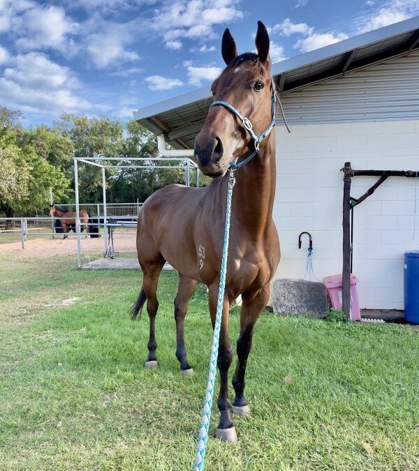 Astern Magic