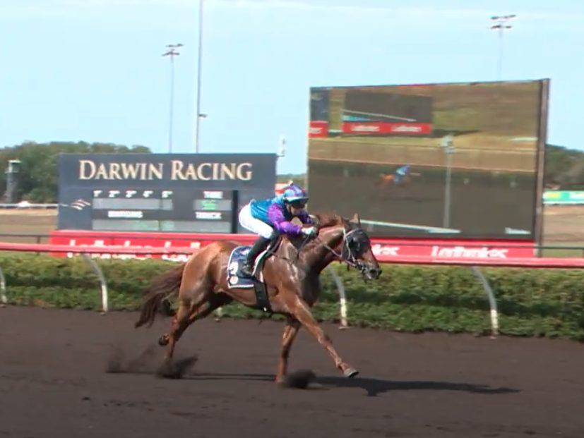 Darwin Win 200925
