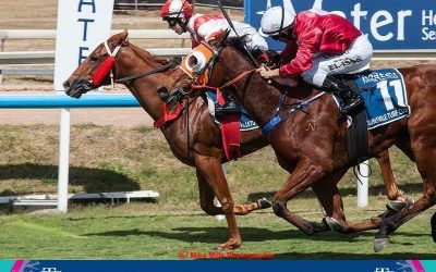 Bold Endeavour Wins BOQ QTIS Two-Years-Old Handicap at Townsville