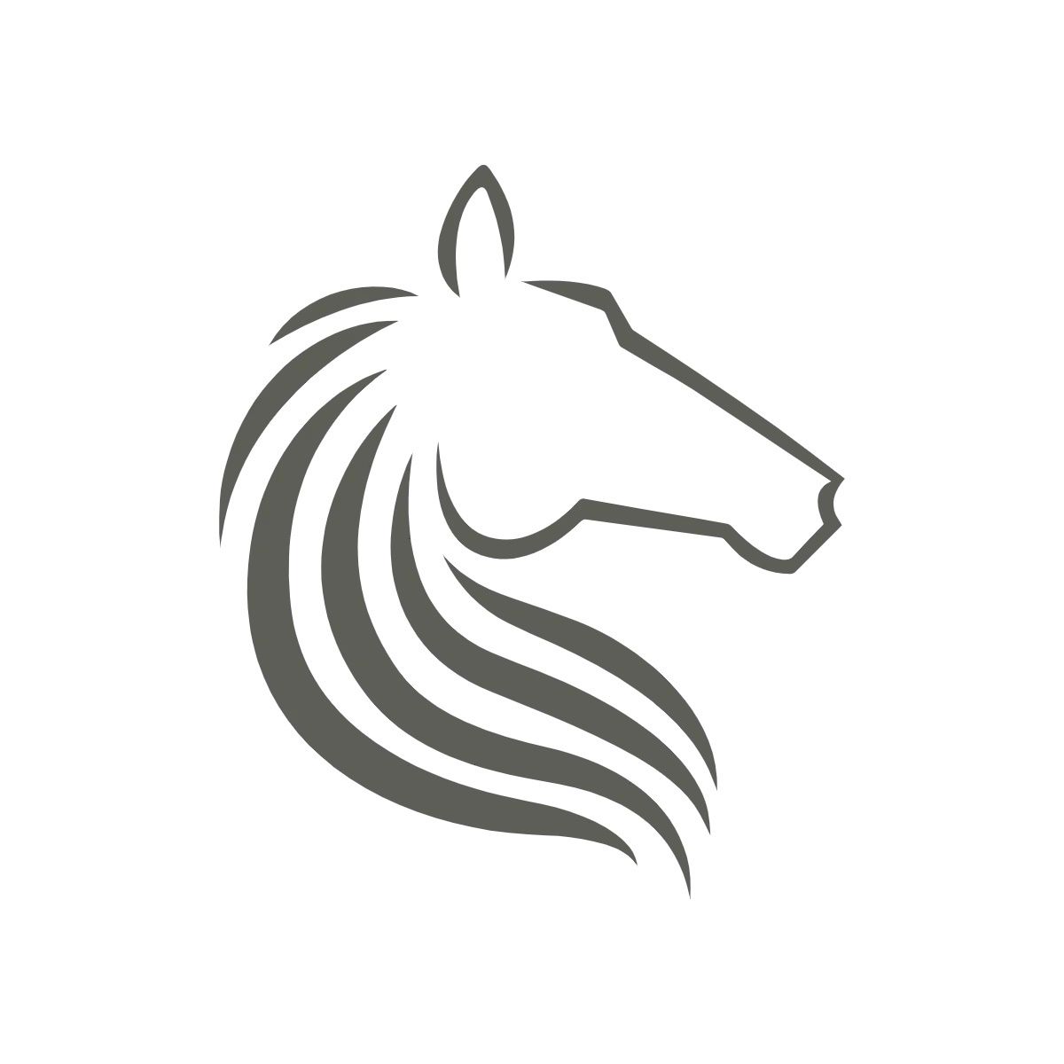 Our Horses Garnett Taylor Racing Our Horses Garnett Taylor Racing
