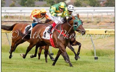 Successful Weekend at Morphettville