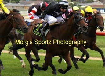 Tessie flys at Flemington and First Base breaks his Maiden