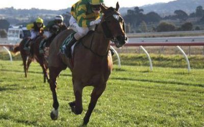 Choisira Wins Impressively At Ararat