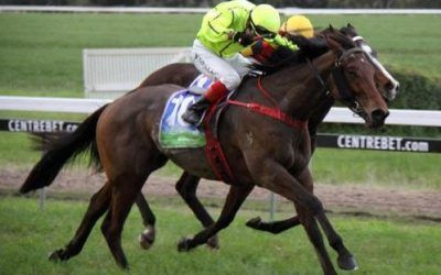 A City Girl Wins At Casterton