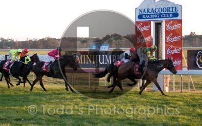 Quite Famous Wins At Naracoorte