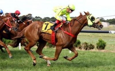 Luckyi’mbarefoot Wins at Terang