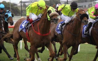 Luckyi’mbarefoot Wins At Warrnambool