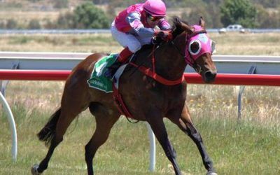 Honey Bee Faithful Wins Her Maiden At Ararat