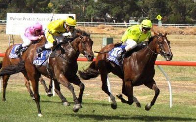 Forever Here Dead Heats For First In Close Finish At Werribee