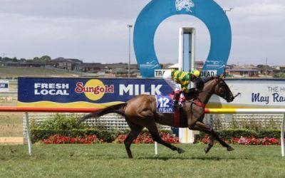 Stable Gets A Double At Warrnambool Summer Carnival