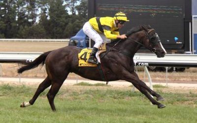 Mr Obvious Wins His Maiden At Colac